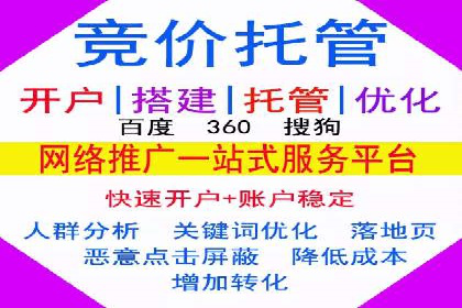 SEM推广案例：打造高效广告投放方案